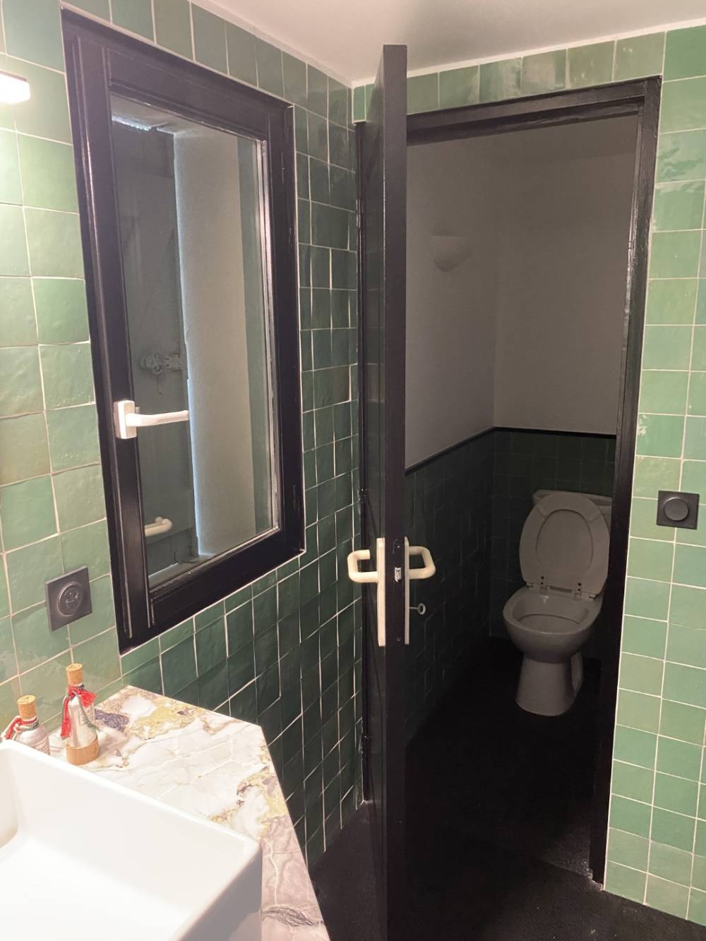 toilettes-vertes